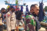 HNSI Pacitan : Pelaku penangkap lumba-lumba diduga nelayan 