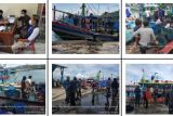 BBKSDA dukung polisi selidiki penangkapan lumba-lumba di Pacitan