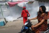  Petugas Dinas Kesehatan melakukan pengasapan (fogging) di Kelurahan Pesantren, Kota Kediri, Jawa Timur, Senin (10/1/2022). Pengasapan di daerah endemik wabah deman berdarah tersebut guna mengendalikan perkembangbiakan nyamuk penyebaran virus dengue sekaligus sebagai sarana edukasi kepada masyarakat pentingnya menjaga kebersihan lingkungan. Antara Jatim/Prasetia Fauzani/zk