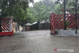 BMKG ingatkan waspadai hujan kategori tinggi di Kupang dan Alor