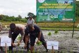 Bupati Endi dorong peningkatkan produktivitas pertanian di Manggarai Barat