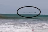 Sebelum gempa muncul hiu paus  dekati bibir Pantai Citepus Sukabumi