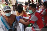 Bupati Kotim perintahkan jemput bola vaksinasi lansia