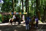 Wisatawan mengunjungi kawasan Wana Wisata Mojosemi Forest Park Magetan, Jawa Timur, Jumat (14/1/2022). Wana wisata yang menyediakan banyak wahana. Wana wisata yang berada di lereng Gunung Lawu dengan udaranya yang sejuk tersebut banyak dikunjungi wisatawan dari berbagai daerah terutama pada hari libur. Antara Jatim/Siswowidodo/zk