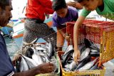 Harga ikan di Kota Kupang meroket