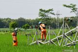 Petugas Perusahaan Listrik Negara (PLN) membenahi tower listrik Saluran Udara Tegangan Tinggi (SUTT) yang roboh akibat angin kencang di Dolopo, Kabupaten Madiun, Jawa Timur, Senin (17/1/2022). Bencana angin kencang yang terjadi di wilayah tersebut mengakibatkan sebuah tower listrik SUTT roboh, puluhan rumah rusak dan ratusan pohon tumbang pada Minggu (16/1). Antara Jatim/Siswowidodo/zk