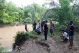 Siswa SD di Agam diserang buaya saat mandi pagi di Sungai Batang Masang