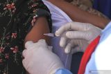 Pemkab Sikka siapkan 50 ribu dosis vaksin  penguat