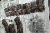 Puluhan peluru dan sejumlah magazen  ditemukan di Kupang