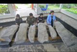 Pengunjung memainkan batu talempong, di Nagari Talang Anau, Kabupaten Limapuluhkota, Sumatera Barat, Sabtu (22/1/2022). Batu talempong merupakan situs cagar budaya yang terdiri dari enam buah batu berjajar beralaskan bambu dan dapat mengeluarkan bunyi seperti talempong (alat musik pukul tradisional Minang) serta diperkirakan telah tersusun di tempat itu sebelum tahun 1.400 masehi. ANTARA FOTO/Iggoy el Fitra/nym.