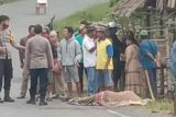 Polda Sulbar amankan terduga pelaku pembunuhan di Budong Budong Mamuju Tengah