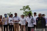 Pemerintah akan bangun pelabuhan kontainer baru di Batam