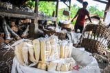 Pekerja memproduksi peuyeum di Cipatat, Kabupaten Bandung Barat, Jawa Barat, Rabu (26/1/2022). Pada tahun 2022, Pemerintah meningkatkan plafon kredit usaha rakyat (KUR) menjadi Rp373,17 triliun yang diharapkan mampu memotivasi UMKM untuk memanfaatkannya terutama yang terdampak pandemi COVID-19. ANTARA FOTO/Raisan Al Farisi/agr