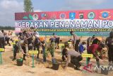 Polda Bangka Belitung tanam 7.410 pohon di lahan bekas tambang