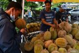 Pedagang menawarkan buah durian kepada calon pembeli di area pasar musiman di Pagotan, Kabupaten Madiun, Jawa Timur, Minggu (30/1/2022). Puluhan pedagang musiman dari Madiun dan Ponorogo memanfaatkan kawasan tersebut untuk berdagang durian hasil produksi petani lereng Gunung Wilis dengan harga Rp25 ribu-Rp80 ribu per buah durian lokal dan Rp125 ribu-300 ribu per buah durian montong tergantung ukuran dan kualitas buah. Antara Jatim/Siswowidodo