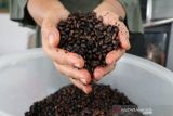 Perhutani dukung pengembangan bisnis dan sistem kopi Indonesia