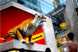 Warga memotret tampilan seekor harimau tiga dimensi (3D) di sebuah layar di Pavillion Mall, Kuala Lumpur, Malaysia, Selasa (1/2/2022). Visual seekor harimau 3D yang diperlihatkan di pusat perbelanjaan tersebut bertujuan menyambut Tahun Baru Imlek 2573 sekaligus menghibur para pengunjung. ANTARA FOTO/Rafiuddin Abdul Rahman/nym.