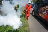 Petugas melakukan kegiatan pengasapan (fogging) di lingkungan Desa Gedangan, Tulungagung, Jawa Timur, Rabu (3/2/2022). Sejak kurun Januari hingga awal Februari 2022 ini, Dinas Kesehatan Tulungagung telah melakukan 12 kali kegiatan pengasapan di desa-desa endemis demam berdarah demi mencegah lonjakan kasus DBD yang kini telah menjangkiti 59 orang dan satu di antaranya meninggal dunia. Antara Jatim/Destyan Sujarwoko/zk