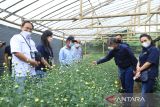 BRI bantu perkuat usaha petani bunga di Kota Tomohon