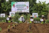 Mentan ajak masyarakat Bone manfaatkan pekarangan rumah jadi pertanian produktif