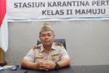 Karantina Pertanian Mamuju sertifikasi 2.662 kilogram SBW pada 2021