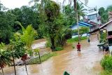 Curah hujan tinggi, puluhan rumah warga Kapuas Hulu terendam banjir