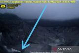 Gunung Tangkuban Parahu terpantau kamera pengawas muntahkan asap solfatara