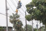 Pekerja memasang kabel pada jaringan listrik baru di Desa Kwadungan, Kediri, Jawa Timur, Jumat (11/2/2022). Kementerian Energi dan Sumber Daya Mineral (ESDM) optimis dapat menuntaskan target rasio elektrifikasi 100 persen pada tahun 2022. Antara Jatim/Prasetia Fauzani/zk
