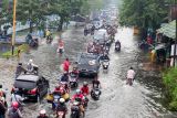 Kendaraan melintasi banjir yang menggenangi Jalan Raya Gempol, Pasuruan, Jawa Timur, Senin (14/2/2022). Hujan dengan intensitas tinggi dan jebolnya tanggul sungai setempat mengakibatkan banjir di permukiman dan jalan raya di Pasuruan. Antara Jatim/Umarul Faruq/zk