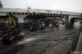 Kendaraan melintasi banjir yang menggenangi Jalan Raya Gempol, Pasuruan, Jawa Timur, Senin (14/2/2022). Hujan dengan intensitas tinggi dan jebolnya tanggul sungai setempat mengakibatkan banjir di permukiman dan jalan raya di Pasuruan.  Antara Jatim/Umarul Faruq/zk