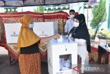 Partisipasi pemilih Pilkades Pariaman capai 72,74 persen