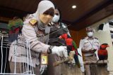 Kepala Karantina Pertanian Surabaya Cicik Sri Sukarsih (kiri) menunjukkan burung nuri kepala hitam (lorius lory) saat ungkap kasus penyelundupan satwa dilindungi di Kantor Balai Besar Karantina Pertanian Surabaya, Juanda, Sidoarjo, Jawa Timur, Kamis (17/2/2022). Balai Besar Karantina Pertanian Surabaya berhasil menggagalkan penyelundupan 265 ekor burung yang terdiri dari 100 ekor burung nuri kelam (eclectus roratus), 27 ekor burung pipit merah papua (amandava finch), 21 ekor burung jagal papua (cracticus cassicus), 55 ekor burung emprit merah (amandava), satu ekor kepodang (oriolus chinensis), satu ekor bayam hijau (psittaciformes), tiga ekor nuri kepala hitam (lorius lory), dan seekor walabi (macropodidae) tanpa dokumen. ANTARA FOTO/Umarul Faruq/hp.