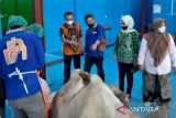 RPH gandeng PT BULS suplai daging berkualitas di Kota Makassar