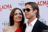 Brad Pitt gugat Angelina Jolie karena jual saham tanpa izin