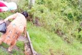 Warga Kayong Utara tangkap buaya pemangsa ternak