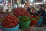 Pengunjung berbelanja komoditas cabai merah di pasar tradisional Lambaro, Kabupaten Aceh Besar, Aceh, Selasa (22/2/2022). Pedagang di pasar tradisional itu menyatakan, dalam sepekan terakhir harga beberapa jenis komoditas pangan bergerak naik akibat pasokan menurun, antara lain cabai merah Rp29.000 naik menjadi Rp 36.000 perkilogram,  cabai rawit Rp27.000 menjadi Rp32.000 perkilogram,  bawang merah Rp25.000 menjadi Rp27.000 perkilogram dan tomat Rp15.000 menjadi Rp26.000 perkilogram. ANTARA FOTO/Ampelsa