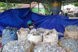 Pekerja memasukan sampah gelas plastik yang telah dicacah ke dalam karung di Rumah Pengolahan Sampah Citra (RPSC), Desa Jogjogan, Cisarua, Kabupaten Bogor, Jawa Barat, Senin (21/2/2022). Sampah gelas plastik yang dikumpulkan dari wilayah Bogor, Sukabumi dan Cianjur tersebut mampu dicacah sebanyak 20 ton setiap bulannya untuk diolah kembali menjadi biji plastik dan produk berbahan plastik. ANTARA FOTO/Arif Firmansyah/wsj.
