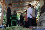 Dompet Dhuafa Singgalang bersama YBM PLN luncurkan sentra ternak di Padang Pariaman