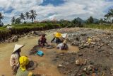 Warga menambang emas secara tradisional dengan mendulang di aliran Sungai Cisero, Tanjung Sari, Kabupaten Bogor, Jawa Barat, Kamis (24/2/2020). Warga setempat masih mendulang emas untuk memenuhi kebutuhan sehari-hari, dan hasil emas tersebut dijual kepada pengepul dengan harga Rp450 ribu per gram. ANTARA FOTO/Yulius Satria Wijaya/nym.