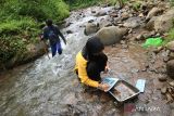 Pelajar SMPN 1 Wonosalam yang tergabung dalam Polisi Air bersama aktivis Ecological Observation and Wetlands Conservation (Ecoton) melakukan pengamatan kesehatan air Sungai Gogor menggunakan serangga air atau biolitik di Wonosalam, Kabupaten Jombang, Jawa Timur, Minggu (27/2/2022). Dalam pemantauan tersebut ditemukan 17 jenis serangga air yang didominasi oleh larva sensitif terhadap pencemaran, bahwa sungai Gogor Wonosalam kawasan hulu Brantas itu masih sehat atau belum tercemar. Antara Jatim/Syaiful Arif/Ds