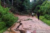 Material longsor di di Rimbo Kejahatan Kajai belum disingkirkan, akses jalan masih lumpuh