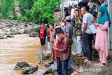 Air yang menyebabkan ikan mati di Lubuk Landur tidak mengandung belerang