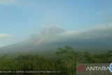 Gunung Semeru luncurkan guguran awan panas sejauh 4,5 kilometer