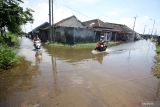  Pengendara melintas di jalan yang tergenang air di kawasan Gempolsari, Tanggulangin, Sidoarjo, Jawa Timur, Jumat (4/3/2022). Curah hujan tinggi dan daya tampung sungai yang belum maksimal serta drainase yang buruk mengakibatkan air menggenangi ruas jalan dan pemukiman warga. Antara Jatim/Umarul Faruq/zk