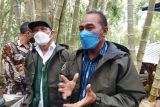 Pemkab Ngada manfaatkan potensi bambu pada 10 kecamatan