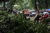 Sejumlah petugas Lingkungan Hidup Kota Bekasi memotong batang pohon yang tumbang akibat diterjang angin kencang di Jalan Perjuangan Baru, Bekasi, Jawa Barat, Sabtu (5/3/2022). Badan Meteorologi Klimatologi dan Geofisika (BMKG) mengumumkan peringatan dini cuaca di kawasan Jabodetabek termasuk di sejumlah wilayah di Kota Bekasi pada Sabtu siang berpotensi hujan sedang hingga lebat disertai kilat dan petir serta angin kencang. ANTARA FOTO/Suwandy/wsj.
