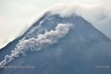 Gunung Merapi luncurkan awan panas guguran sejauh 2 km