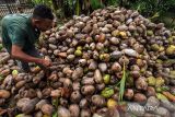 Petani membelah buah kelapa untuk diolah menjadi kopra di Desa Meuria Paloh, Lhokseumawe, Aceh, Senin (7/3/2022). Petani kelapa di wilayah itu beralih menjual buah kelapa dalam bentuk kopra untuk bahan baku pembuatan minyak goreng menyusul naiknya harga kopra dari Rp2.000 per kilogram menjadi Rp4.000 per kilogramnya. ANTARA FOTO/Rahmad