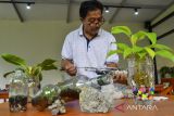 Perajin membuat tanaman terarium di Desa Panyingkiran, Kabupaten Ciamis, Jawa Barat, Rabu (9/3/2022). Tanaman hias terarium untuk dekorasi ruangan rumah itu dijual dengan harga Rp50 ribu hingga Rp100 ribu per botol. ANTARA FOTO/Adeng Bustomi/agr