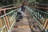 Warga berjalan melintasi jembatan yang berlubang di Jembatan Wiratman, Srengseng Sawah, Jakarta, Sabtu (12/3/2022). Jembatan yang menghubungkan Kelurahan Srengseng Sawah, Jakarta Selatan dengan Kelurahan Pasir Gunung Selatan, Depok tersebut mengalami kerusakan pada papan pijak yang mulai berlubang serta besi yang berkarat sehingga dapat membahayakan warga yang melintas. ANTARA FOTO/Asprilla Dwi Adha/rwa.